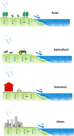 Figure 2. Natural hydrologic cycles