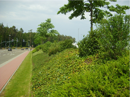Figure 2. Low maintenance ground cover at Ramstein AB