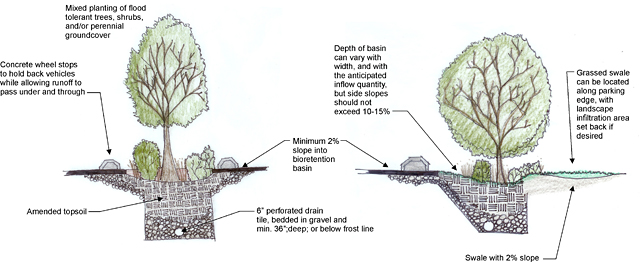 Figure 2. Typical design of a bioretention basin