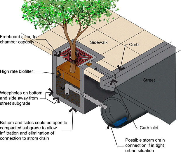 Figure 1.Tree box filters are often placed street-side to capture and filter runoff.