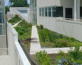 Roof garden image