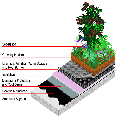 FIGURE 1: Green Roof Section